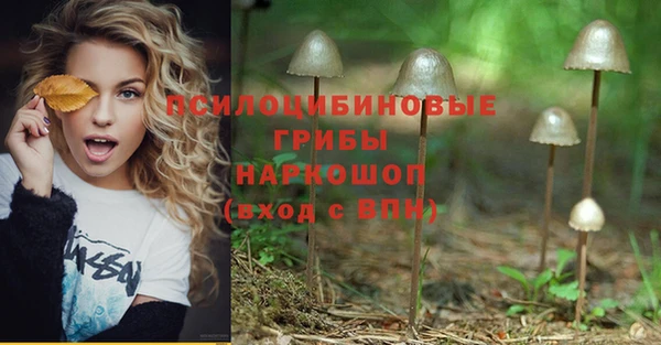 гидра Алексеевка