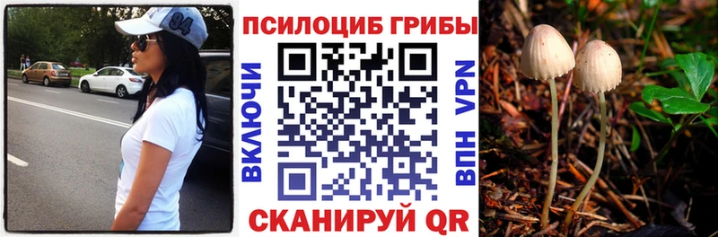 ОМГ ОМГ маркетплейс  Ставрополь  Галлюциногенные грибы прущие грибы 